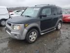 2003 Honda Element Ex იყიდება Assonet-ში, MA - Rear End