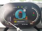 2024 Mini Cooper  for Sale in Memphis, TN - Water/Flood