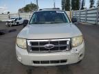 2009 Ford Escape Xlt იყიდება Miami-ში, FL - Front End