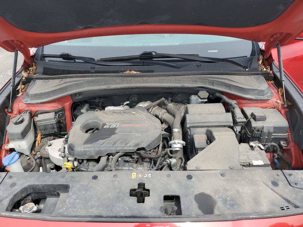2020 Hyundai Santa Fe Sel VIN: 5NMS3CAA8LH210066 Lot: 53451445