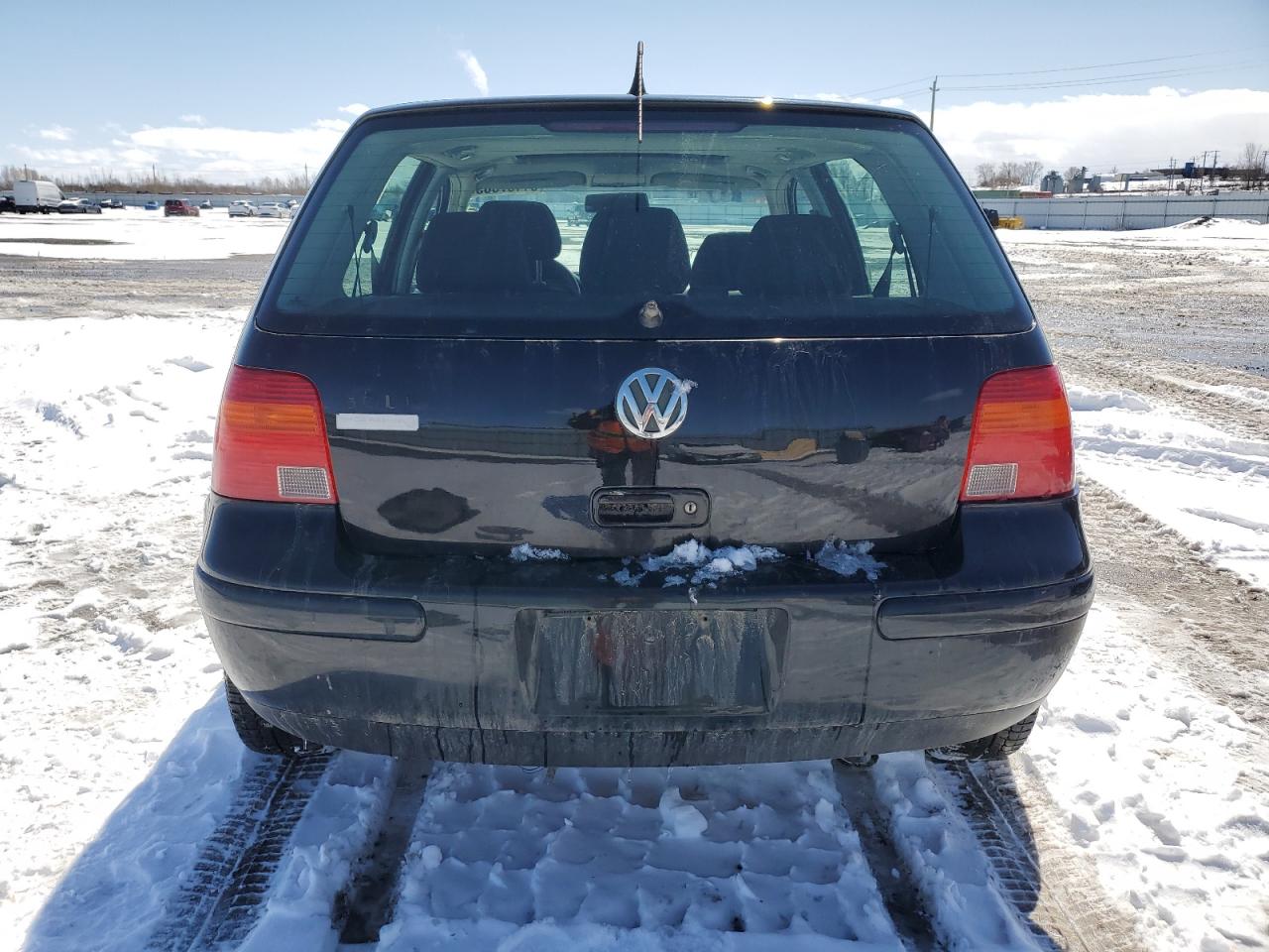 2004 Volkswagen Golf Gls VIN: 9BWGL61J844036524 Lot: 51167865