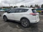 2017 Toyota Rav4 Hv Le zu verkaufen in Denver, CO - Front End