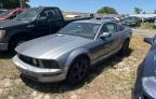 2007 Ford Mustang  for Sale in Apopka, FL - Minor Dent/Scratches