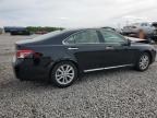 2011 Lexus Es 350 zu verkaufen in Memphis, TN - All Over
