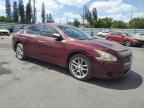2009 Nissan Maxima S იყიდება Miami-ში, FL - Rear End