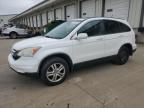 2011 Honda Cr-V Exl na sprzedaż w Louisville, KY - All Over