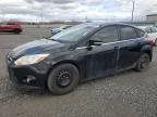 2012 FORD FOCUS SEL à vendre chez Copart ON - OTTAWA