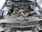 2005 Ford Mustang  for Sale in Gaston, SC - Front End