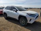 Brighton, CO에서 판매 중인 2022 Toyota Rav4 Xle Premium - Front End