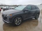 2024 Hyundai Tucson Sel zu verkaufen in Louisville, KY - Hail