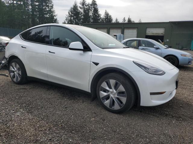  TESLA MODEL Y 2023 Белы