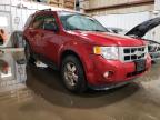 2011 Ford Escape Xlt for Sale in Anchorage, AK - Rear End
