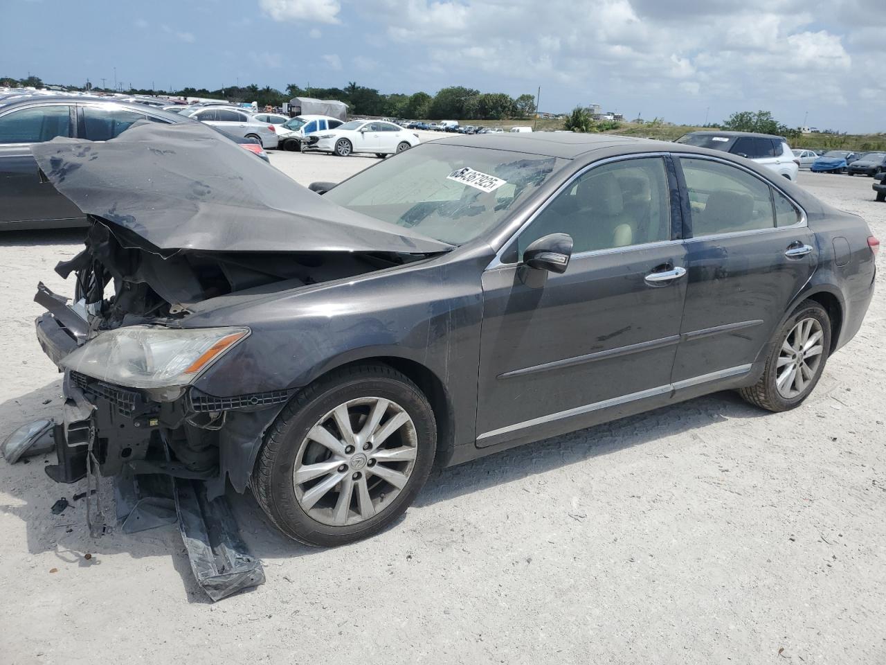 2012 Lexus Es 350 للبيع في West Palm Beach، FL - Front End