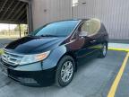 2011 Honda Odyssey Exl zu verkaufen in Oklahoma City, OK - Normal Wear