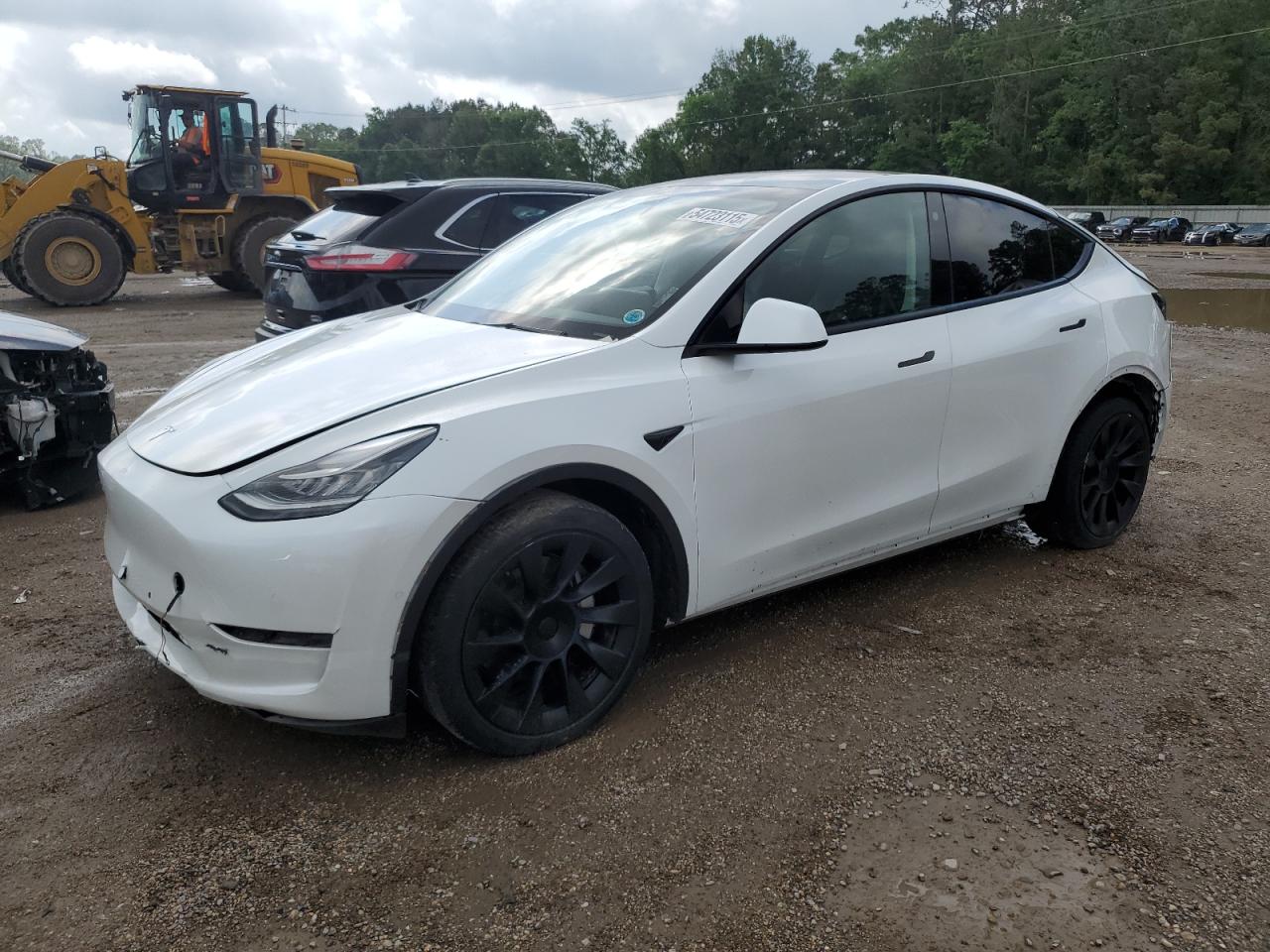 2022 Tesla Model Y للبيع في Greenwell Springs، LA - Rear End