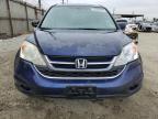 2010 Honda Cr-V Exl   იყიდება Los Angeles-ში, CA - Front End