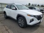 2022 Hyundai Tucson Blue na sprzedaż w Pennsburg, PA - Rear End