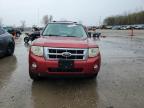 2008 Ford Escape Xlt for Sale in Pekin, IL - All Over