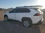2021 Toyota Rav4 Xle for Sale in Phoenix, AZ - Front End