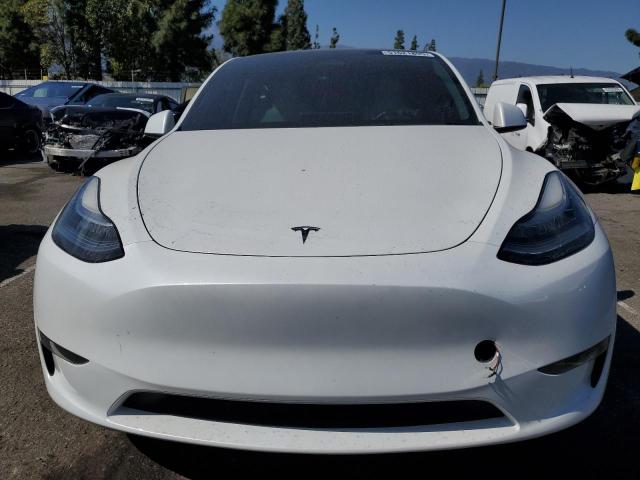  TESLA MODEL Y 2023 Белый