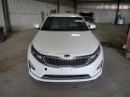 2015 Kia Optima Hybrid   for Sale in Des Moines, IA - Rear End