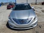 2013 Hyundai Sonata Gls იყიდება Lawrenceburg-ში, KY - Water/Flood