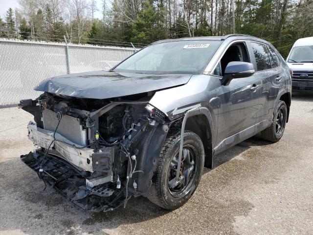 2020 TOYOTA RAV4 XLE for sale at Copart ON - COOKSTOWN