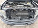 2014 Ford F150 Svt Raptor na sprzedaż w Mercedes, TX - Water/Flood