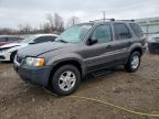 2003 Ford Escape Xlt للبيع في Chicago Heights، IL - Front End