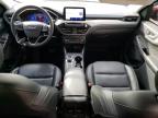 2021 Ford Escape Sel zu verkaufen in Louisville, KY - Hail
