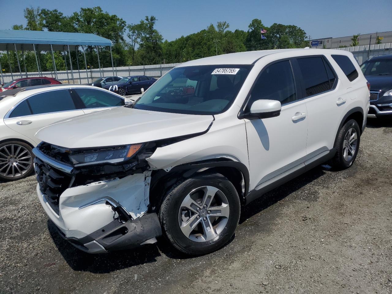 2024 Honda Pilot Exl للبيع في Spartanburg، SC - Front End