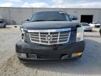 2007 Cadillac Escalade Luxury for Sale in Jacksonville, FL - Front End