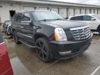 2008 Cadillac Escalade Luxury for Sale in Louisville, KY - Rear End