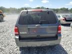 2010 Ford Escape Xlt for Sale in Apopka, FL - Front End