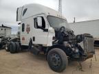 Amarillo, TX에서 판매 중인 2021 Freightliner Cascadia 126 Semi Truck - All Over