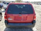 2009 Ford Escape Xlt იყიდება Cahokia Heights-ში, IL - Hail