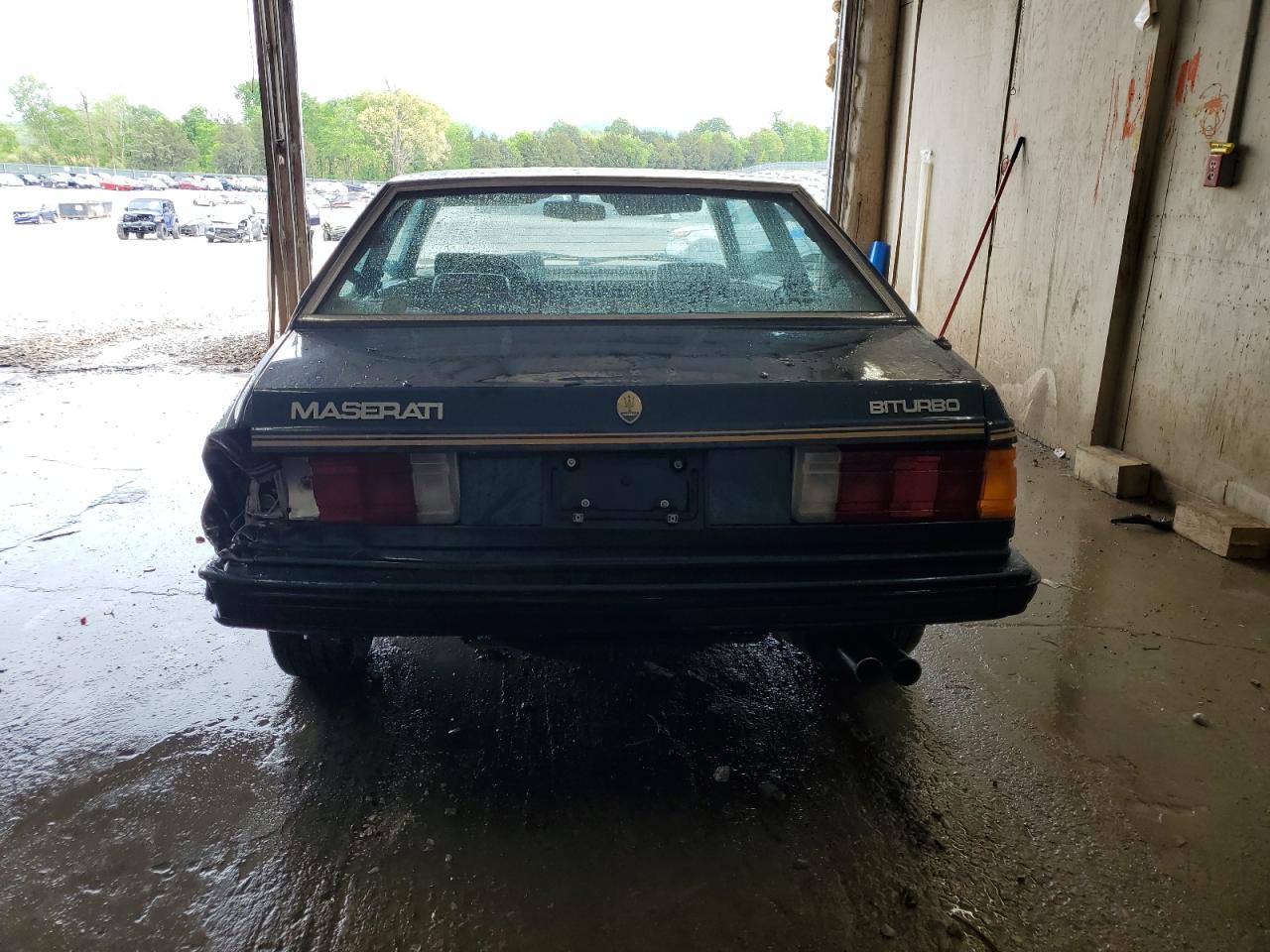 1984 Maserati Biturbo VIN: ZAMAL1104EB319330 Lot: 54138835