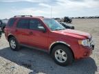 2012 Ford Escape Xlt for Sale in Earlington, KY - Hail