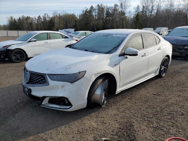 2019 Acura Tlx Advance