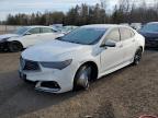 2019 Acura Tlx Advance იყიდება Cookstown-ში, ON - Front End