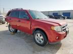 2010 Ford Escape Xlt for Sale in Haslet, TX - Rear End