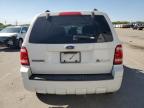 2009 Ford Escape Hybrid for Sale in Nampa, ID - Side