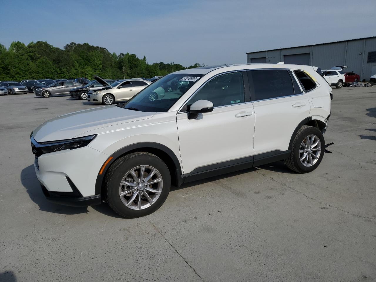 2024 Honda Cr-V Ex продається в Gaston, SC - Rear End