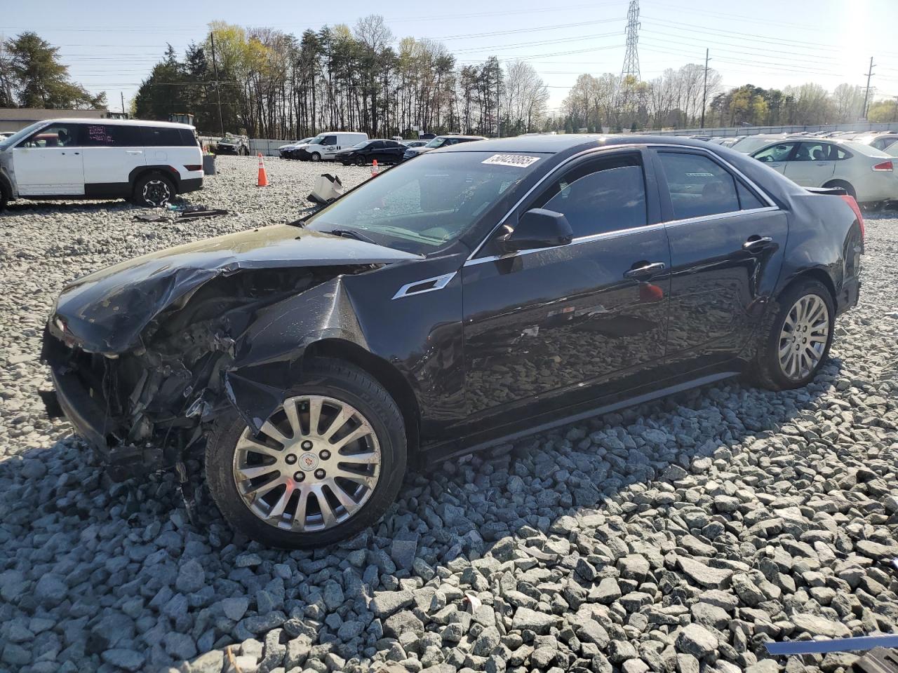 2011 Cadillac Cts Performance Collection for Sale in Mebane, NC - Front End