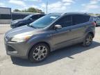 2014 Ford Escape Titanium на продаже в Orlando, FL - Minor Dent/Scratches