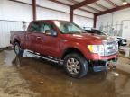 2014 Ford F150 Supercrew for Sale in Pennsburg, PA - Front End