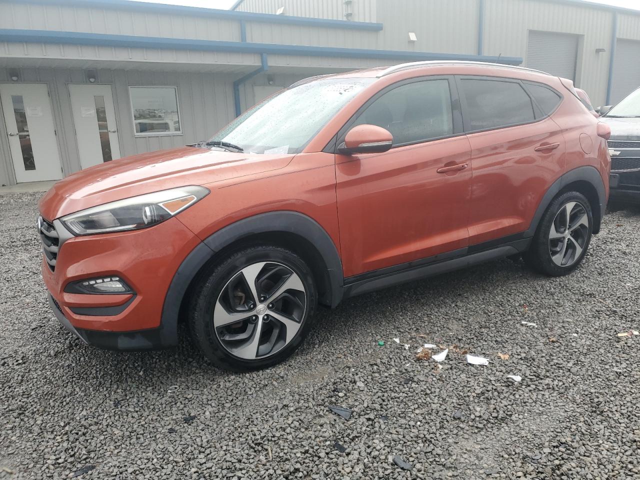 2016 Hyundai Tucson Limited на продаже в Earlington, KY - Hail