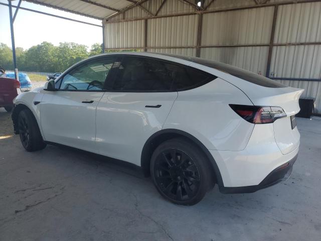  TESLA MODEL Y 2023 White