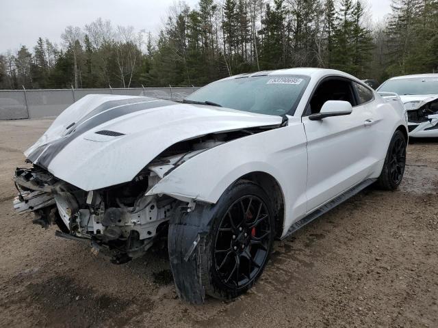 2018 FORD MUSTANG  for sale at Copart ON - COOKSTOWN
