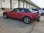 2005 Ford Mustang Gt for Sale in Louisville, KY - Rear End